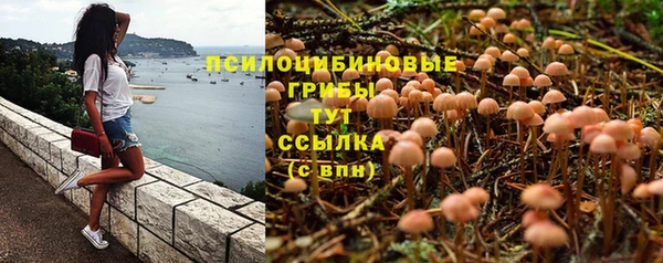 МДПВ Горнозаводск