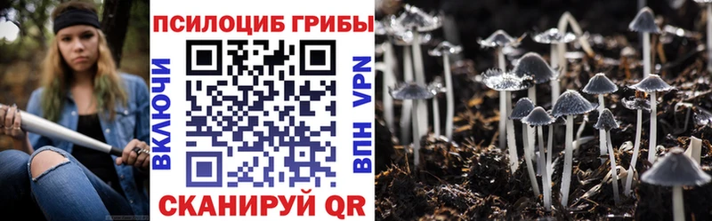купить   Березники  Псилоцибиновые грибы GOLDEN TEACHER 